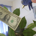 Attach dollar bills with a dab of hot glue