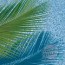 Free Candle Spells | Weaving Palm Fronds from Palm Sunday