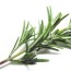 Kitchen Hoodoo | Using Rosemary in Hoodoo, Conjure and Candle Spells